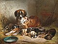 Adam, Benno, Bernese Mountain Dog and Her Pups.jpg