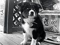 12 weeks