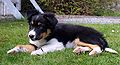 9 weeks