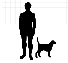 ComparaisonBeagle.svg