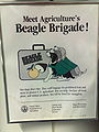 Beagle Brigade.jpg